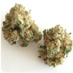 Шишки "White Widow"  (Белая вдова)  Гидропоника -  Бошка VHQ в Щучье